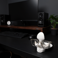 The Osteo view 3