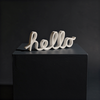 Steve's Hello view 1